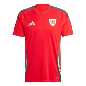 Goedkope Wales Thuisshirt 2024